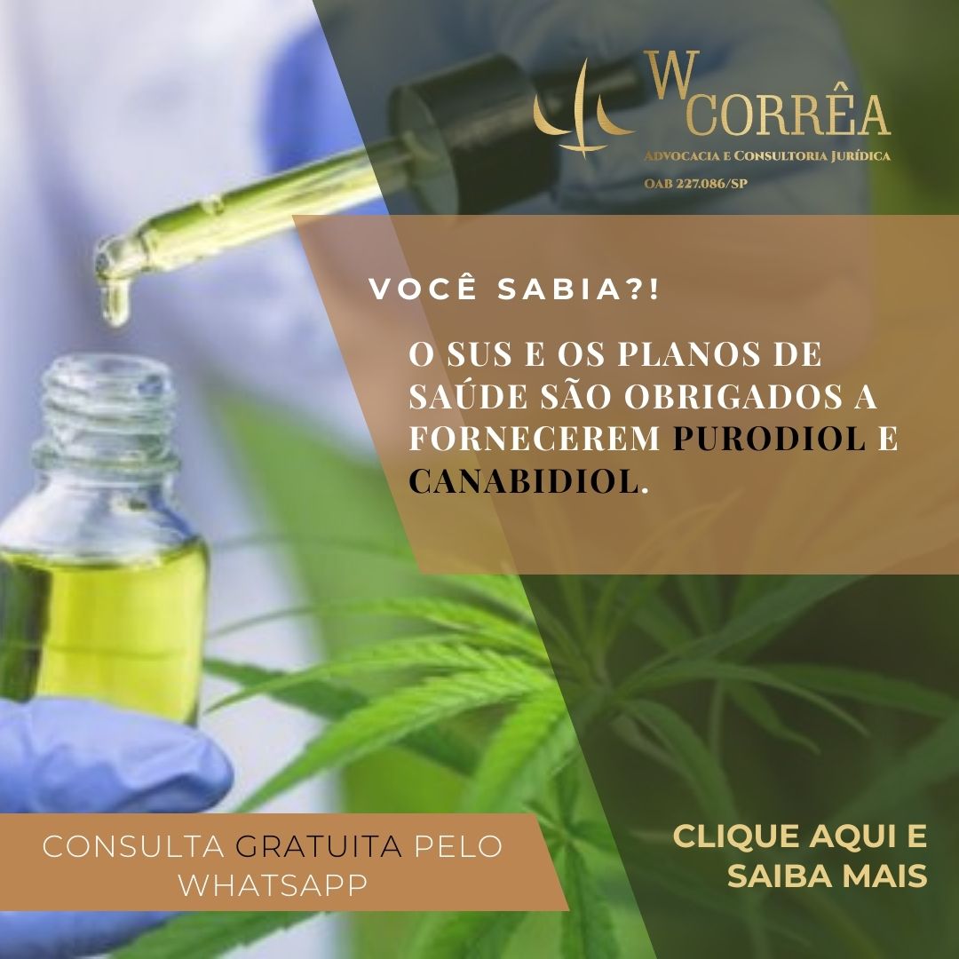 W Correia Advogados